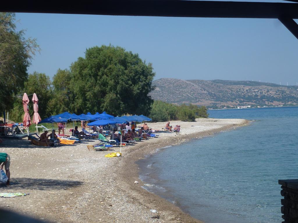 Paris Beach Hotel 아이레언 외부 사진